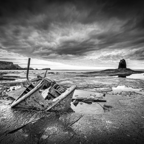 Of shipwrecks and serpents and Marilyn Monroe
