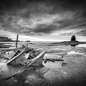 Of shipwrecks and serpents and Marilyn Monroe